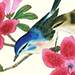Shizuo Ashikaga Gallery